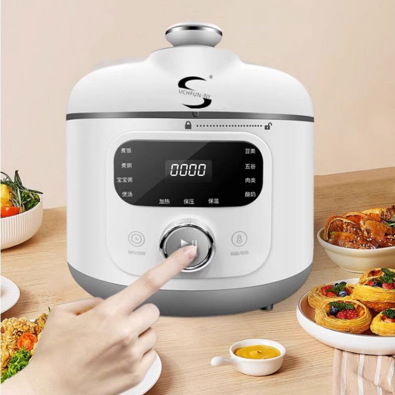 LovelyRLovely 110V V Electric Pressure Cooker Small Ho LovelyRLovely 110V V Electric Small Pressure Cooker