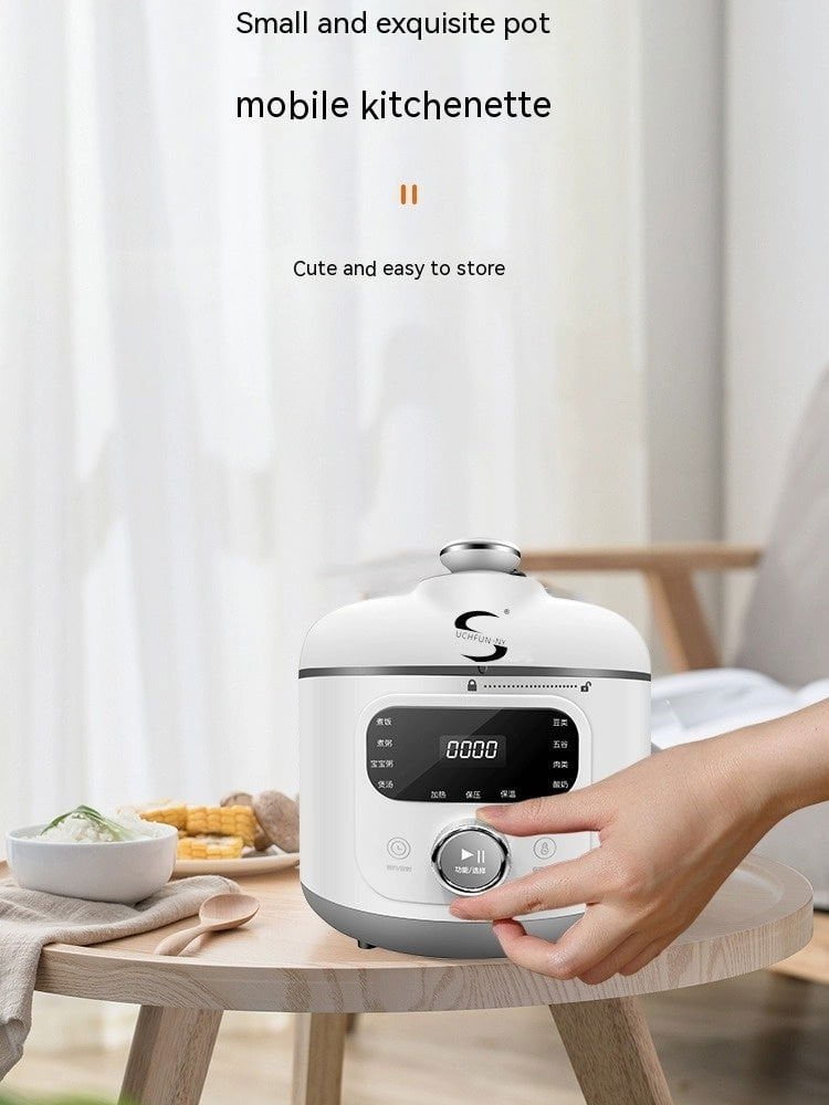 LovelyRLovely 110V V Electric Pressure Cooker Small Ho LovelyRLovely 110V V Electric Small Pressure Cooker