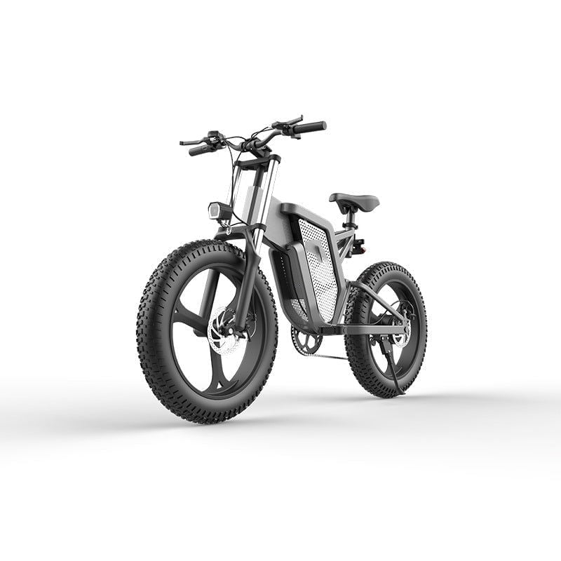 LovelyRLovely 20inch 48V New National Standard Off-ro 20Inch 48V Off-Road Electric Bicycle