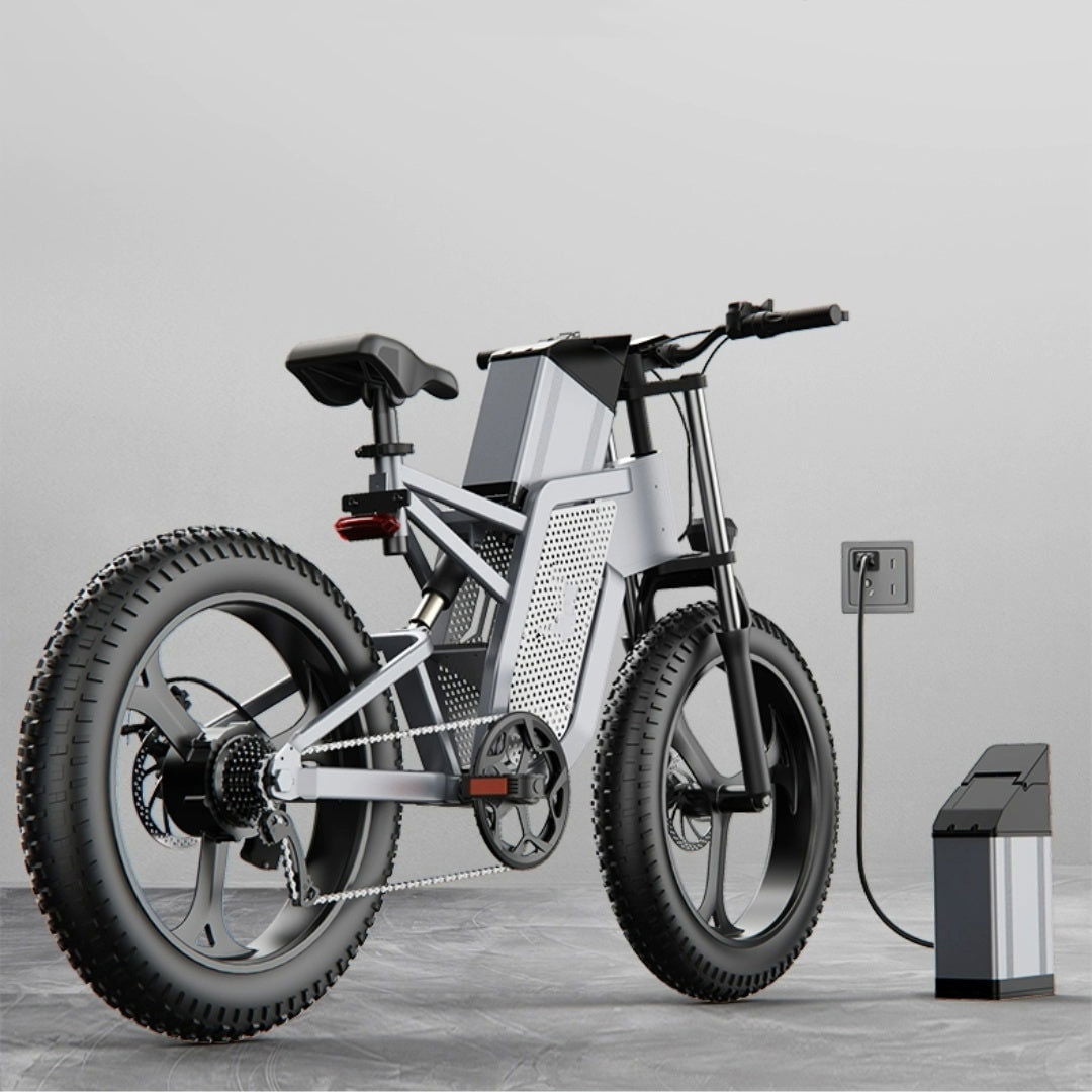 LovelyRLovely 20inch 48V New National Standard Off-ro 20Inch 48V Off-Road Electric Bicycle