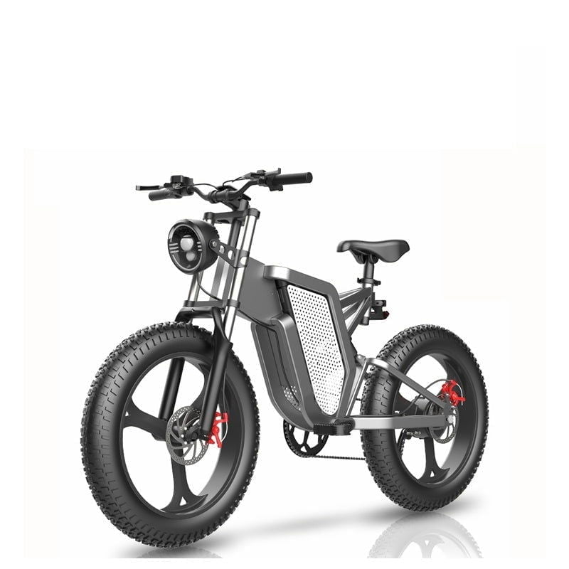 LovelyRLovely 20inch 48V New National Standard Off-ro 20Inch 48V Off-Road Electric Bicycle