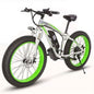 LovelyRLovely 21 Speed Lithium Tram Electric Bike Green / AU 21 Speed Lithium Tram Electric Mountain Bike