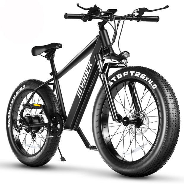 LovelyRLovely Black LovelyRLovely Professional Electric Ebike