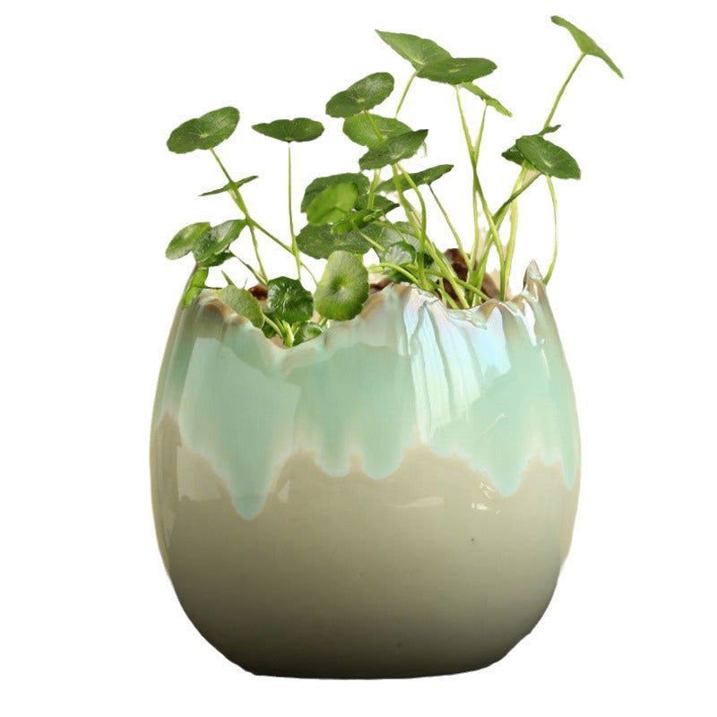 LovelyRLovely Hydrocotyle Hydroponic Ceramic Non-porou LovelyRLovely Hydrocotyle Hydroponic Ceramic Non-porous Flowerpot