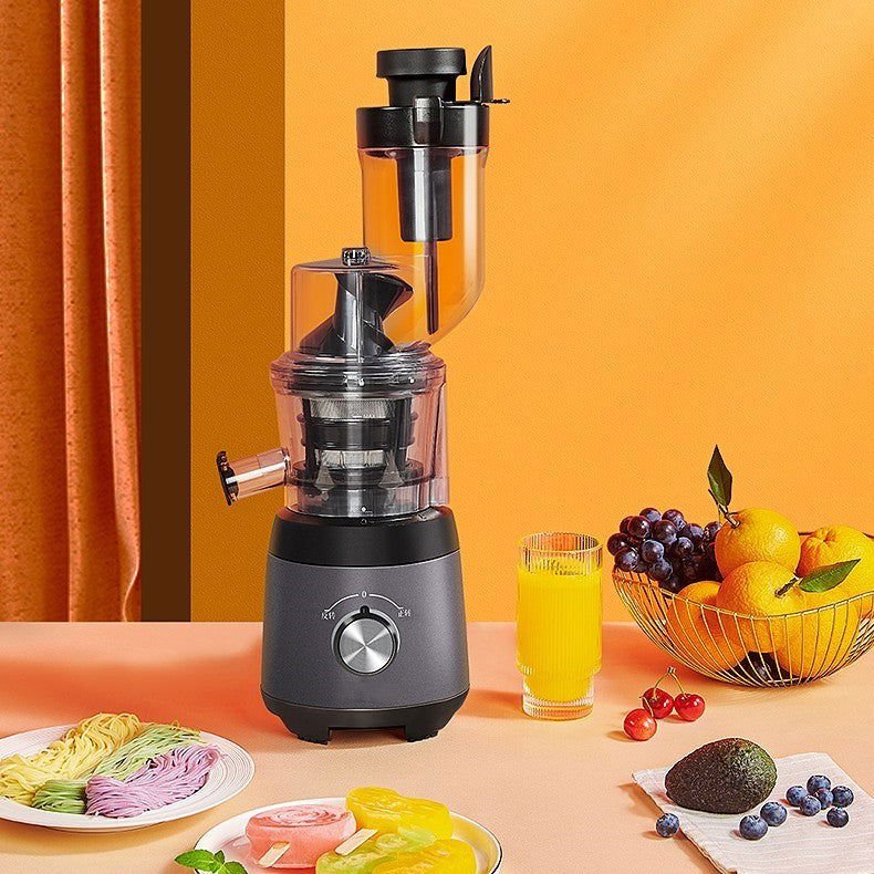 LovelyRLovely Juicing With Multi-function Separator Grey / US LovelyRLovely Multi-function Juicer With Separator