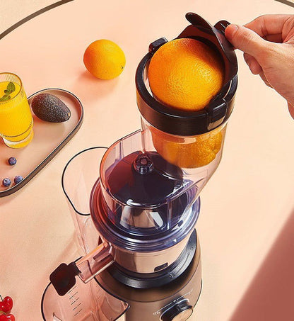 LovelyRLovely Juicing With Multi-function Separator Grey / US LovelyRLovely Multi-function Juicer With Separator