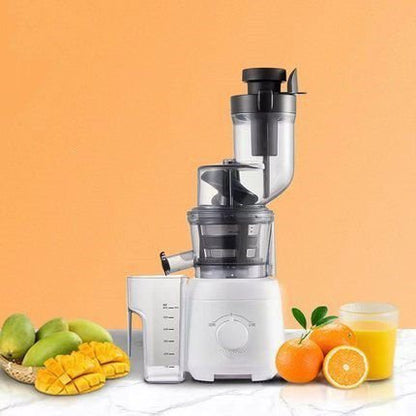 LovelyRLovely Juicing With Multi-function Separator Grey / US LovelyRLovely Multi-function Juicer With Separator