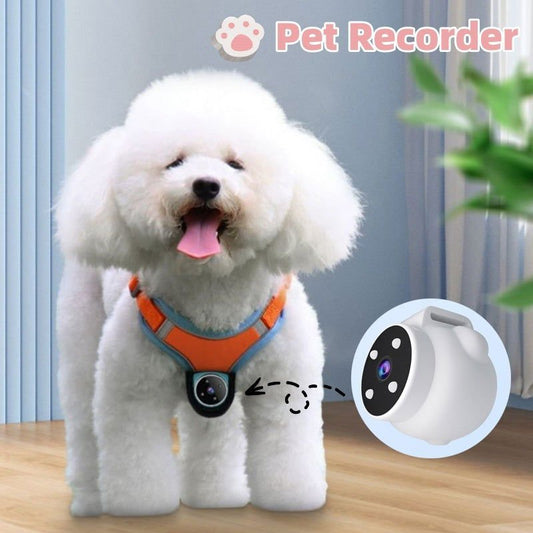 LovelyRLovely LovelyLovely Pets Tracker Collar With Mo LovelyLovely Pets Tracker Collar With Motion Recording Camera