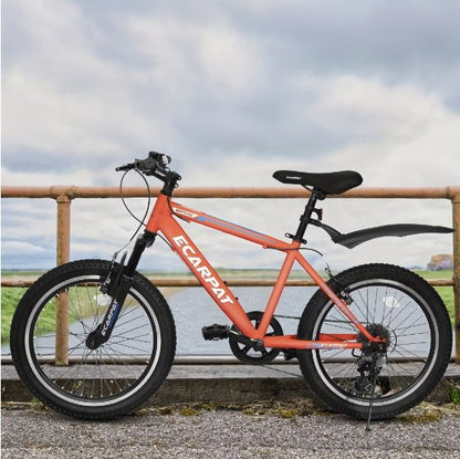 LovelyRLovely LovelyRLovely 20inch Children's Bikes Orange LovelyRLovely 20inch Children's Bikes