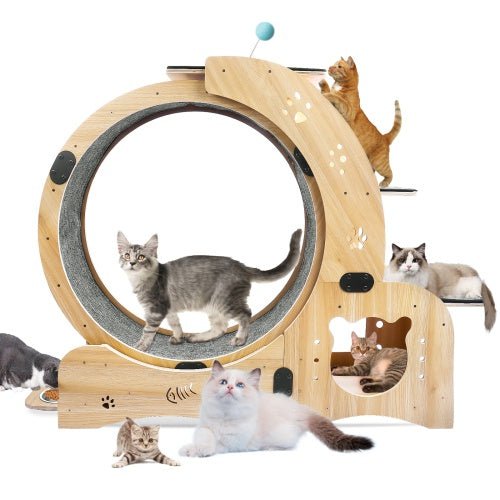 LovelyRLovely LovelyRLovely 6-in-1 Cat Fitness Wheel Natural wood LovelyRLovely 6-in-1 Cat Fitness Wheel