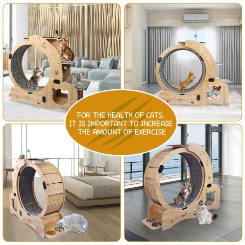 LovelyRLovely LovelyRLovely 6-in-1 Cat Fitness Wheel Natural wood LovelyRLovely 6-in-1 Cat Fitness Wheel