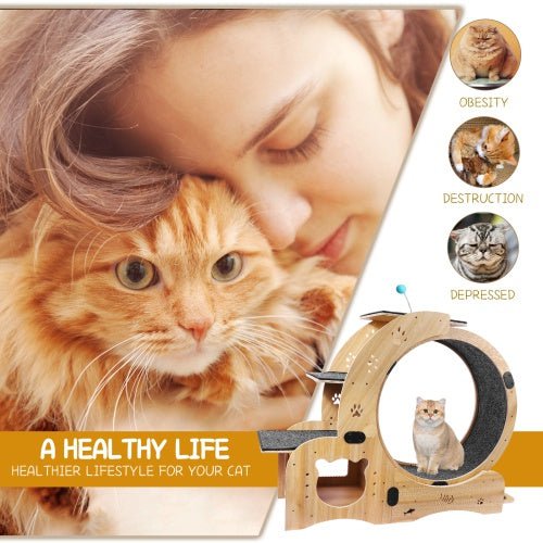 LovelyRLovely LovelyRLovely 6-in-1 Cat Fitness Wheel Natural wood LovelyRLovely 6-in-1 Cat Fitness Wheel