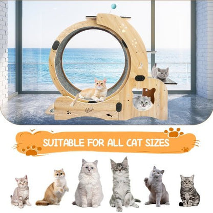 LovelyRLovely LovelyRLovely 6-in-1 Cat Fitness Wheel Natural wood LovelyRLovely 6-in-1 Cat Fitness Wheel