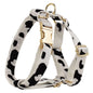 LovelyRLovely LovelyRLovely Black & White Dog Collar S Dog Vest / L LovelyRLovely Black & White Dog Collar Supplies