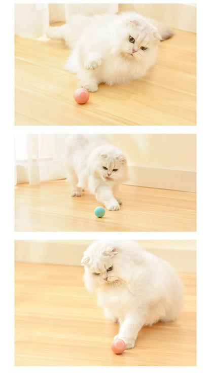 LovelyRLovely LovelyRLovely Cat Gravity Intelligent Rolling Ball