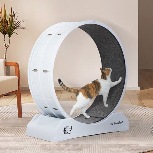 LovelyRLovely LovelyRLovely Cat Treadmill With Grey LovelyRLovely Cat Treadmill With Locking Mechanisms