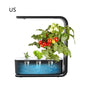 LovelyRLovely LovelyRLovely Indoor Plant Hydroponic Black / US LovelyRLovely Indoor Plant Hydroponic