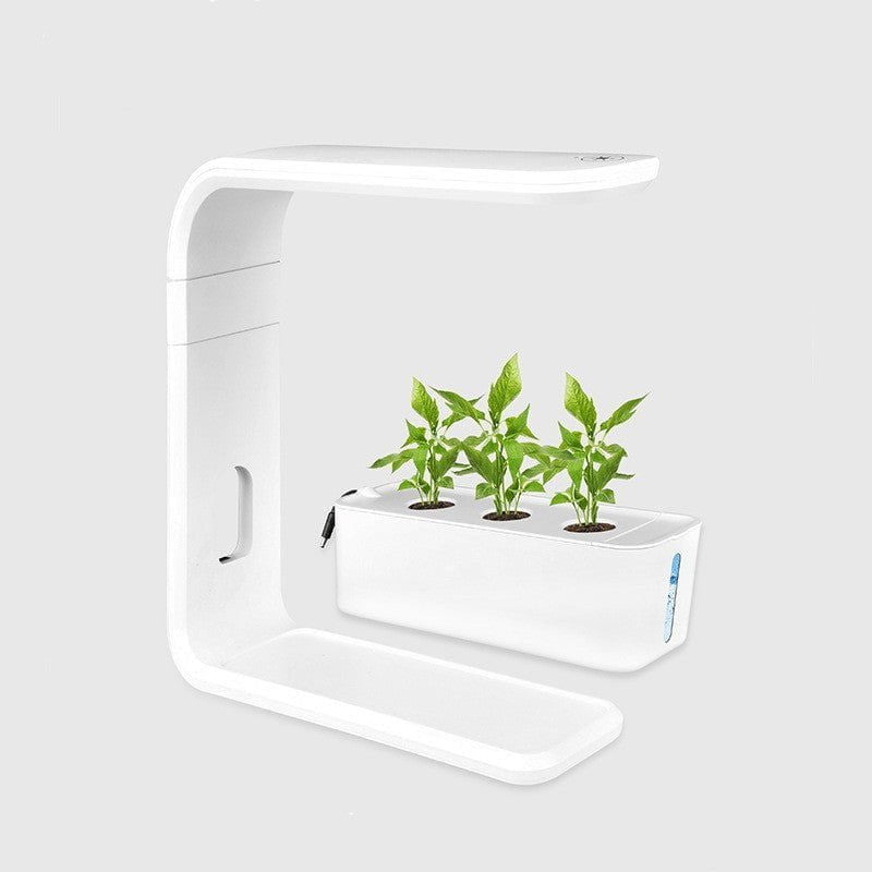 LovelyRLovely LovelyRLovely Indoor Plant Hydroponic LovelyRLovely Indoor Plant Hydroponic