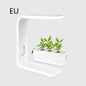 LovelyRLovely LovelyRLovely Indoor Plant Hydroponic White / EU LovelyRLovely Indoor Plant Hydroponic