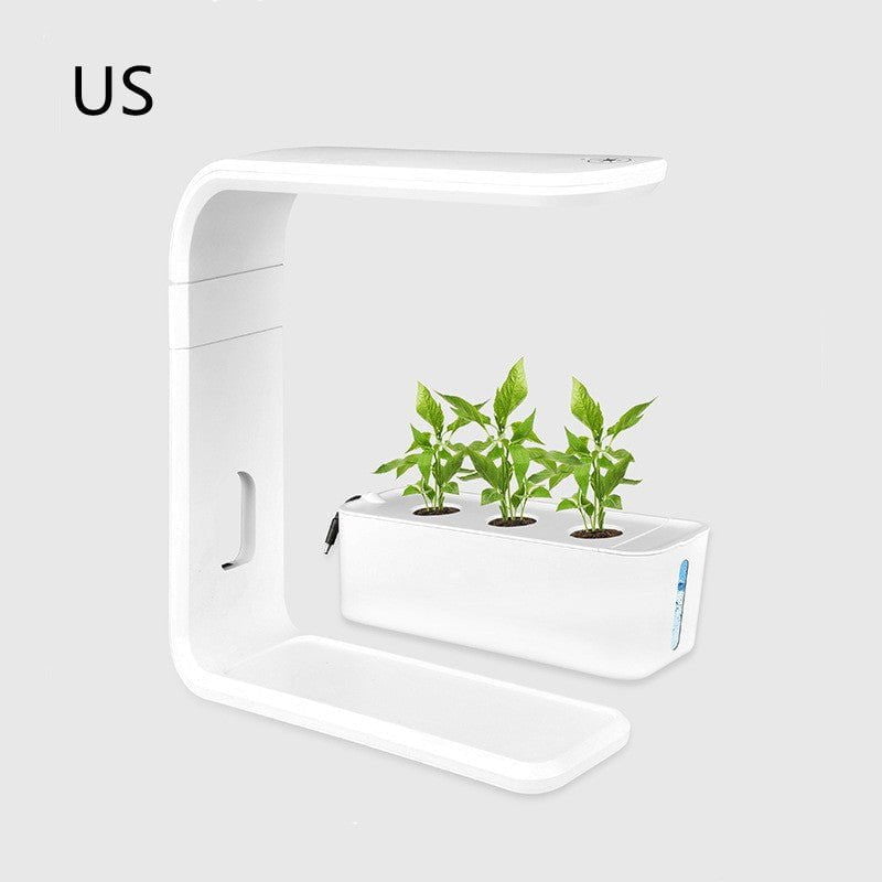 LovelyRLovely LovelyRLovely Indoor Plant Hydroponic White / US LovelyRLovely Indoor Plant Hydroponic