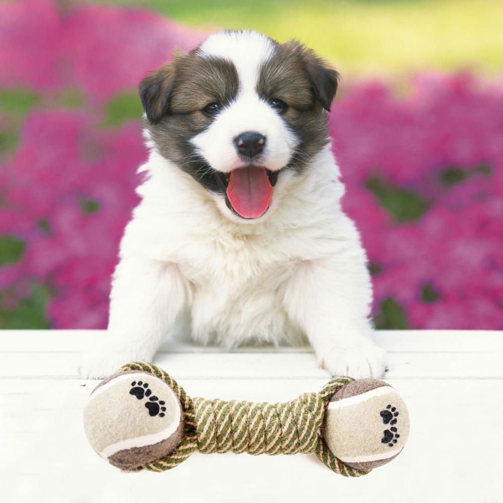 LovelyRLovely LovelyRLovely Pet Dog's Interactive Cott Gray LovelyRLovely Pet Dog's Interactive Cotton Rope Toy