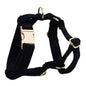 LovelyRLovely LovelyRLovely Pet Dog Walking Supplies Dog vest1 / L LovelyRLovely Pet Dog Walking Supplies