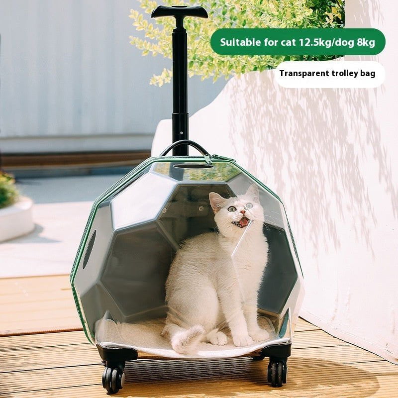 LovelyRLovely LovelyRLovely Pet Portable Trolley Pet Transparent Trolley Case LovelyRLovely Pet Portable Trolley