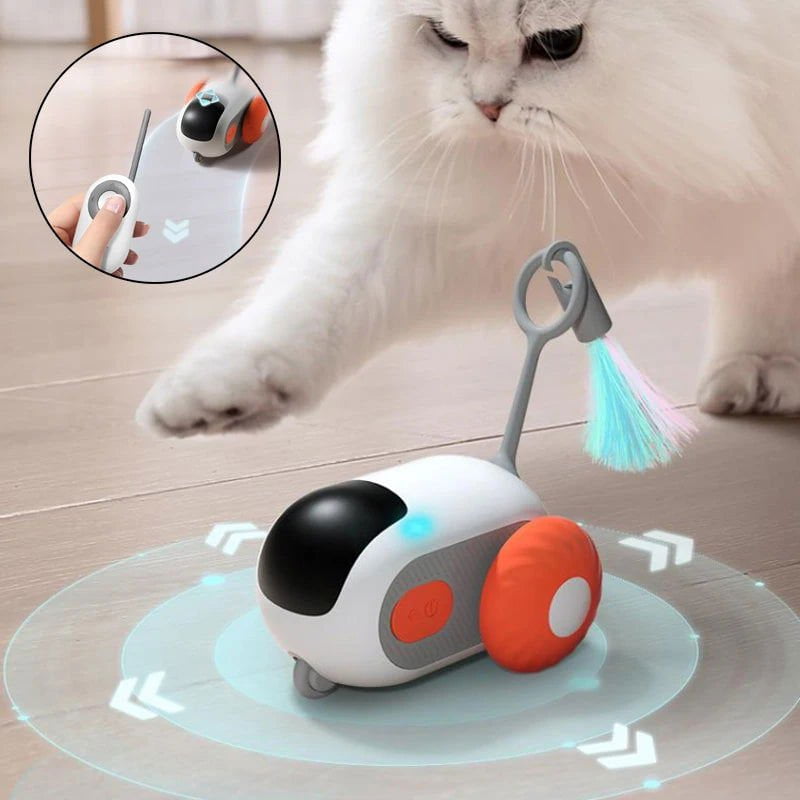 LovelyRLovely LovelyRLovely USB Remote Control Interactive Cat Car Toy