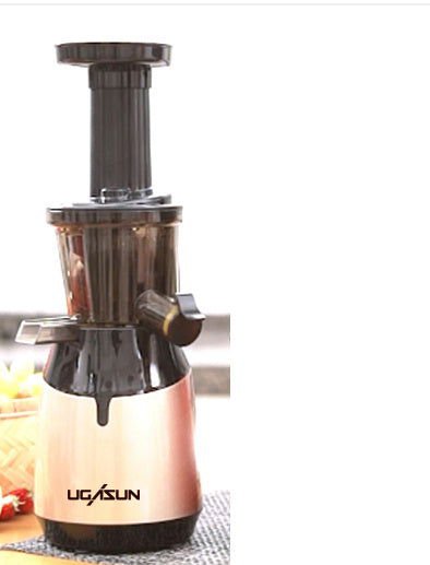 LovelyRLovely Low Speed Juicer Multifunctional Fruit A Gold / AU LovelyRLovely Low Speed Multifunctional Fruit And Vegetable Juicer