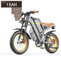 LovelyRLovely New Electric Bicycle With 20 Inch Large GT20 / 48V 15AH LovelyRLovely New Electric Bicycle With 20 Inch Large Tires And Seven Stage Transmission Assistance