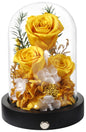 Pinnetetti Home Pinnetetti Preserved Roses Flowers in Glass Dome, Long-Lasting Real Yellow Forever Roses Flowers Anniversary Christmas Valentines Day Birthday for Her Women Mom Wife Girlfriend Home Decor