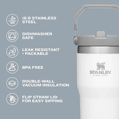 STANLEY Stanley IceFlow Stainless Steel Tumbler - Vacuum Insulated Water Bottle for Home, Office or Car Reusable Cup with Straw Leak Resistant Flip Cold for 12 Hours or Iced for 2 Days, Ash, 30OZ